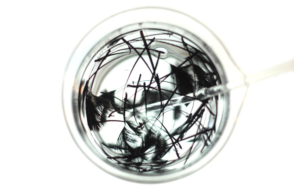 Detail Stymphalian Birds processes